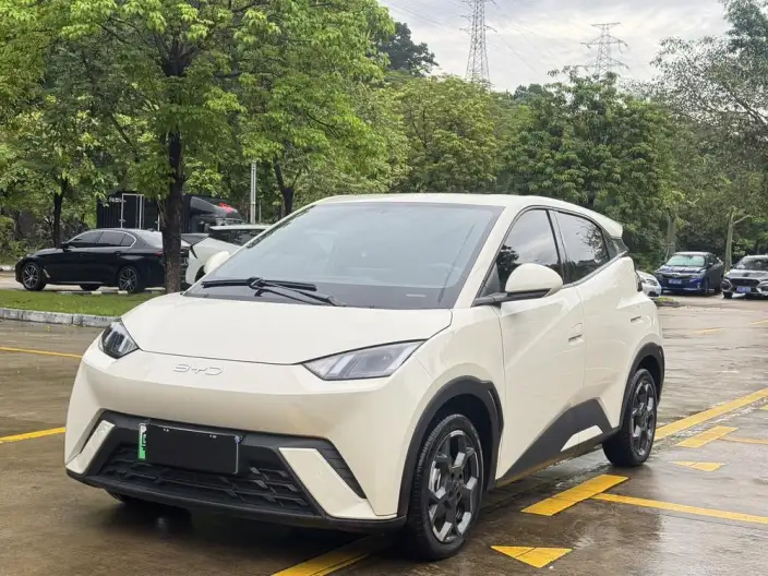 BYD Seagull 2024 Model Honor Edition 305KM Free Edition