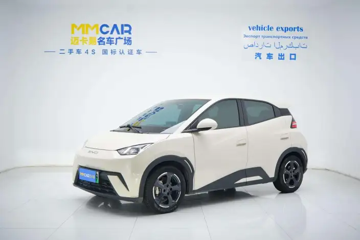 BYD Seagull 2023 Model Feixiang Edition