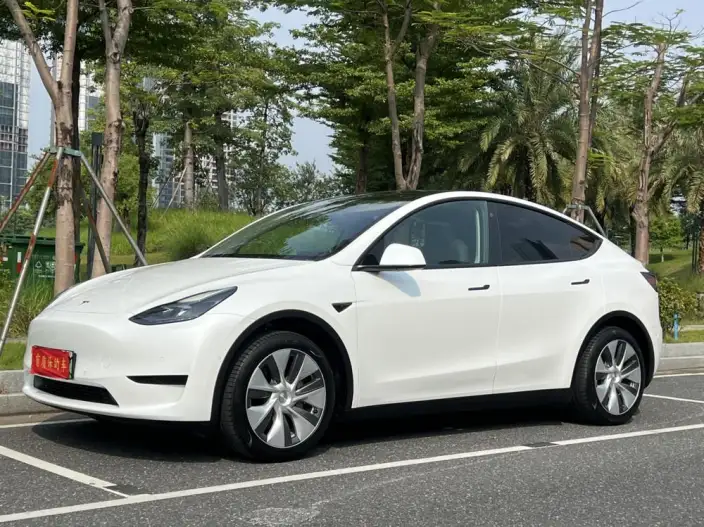 Model Y 2022 Model Facelift Rear-wheel drive version
