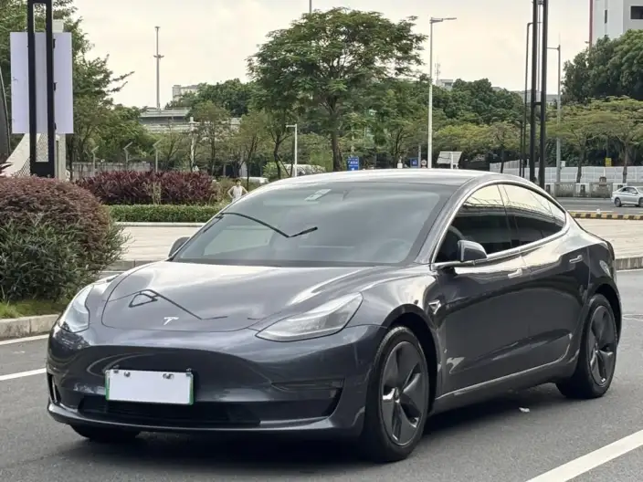 Model 3 2020 Model Long Battery Life Pro Rear-wheel drive version