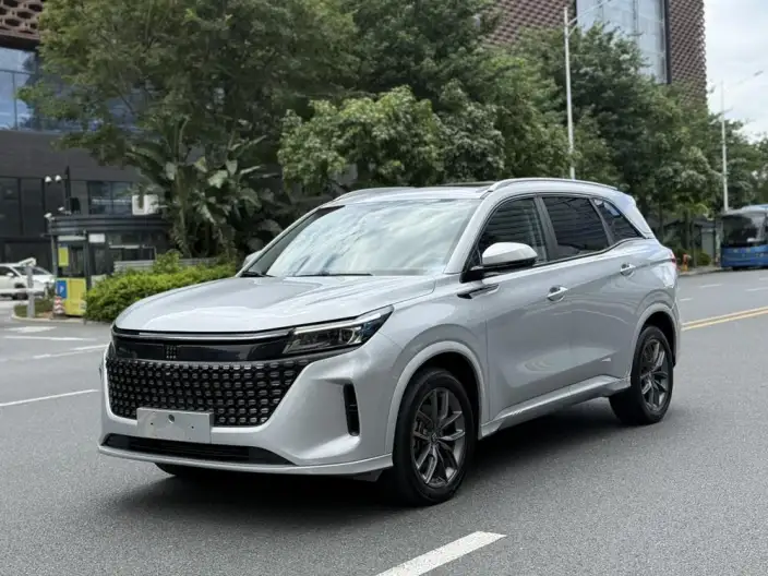 Blue Electric E5 2023 Model 1.5L DE-i Changxiang Edition Model