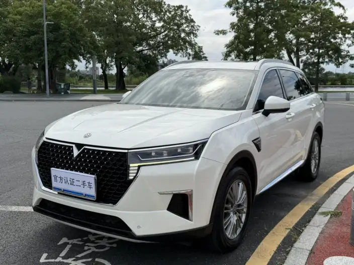 Qichen Star 2022 Model 260T 48V Mild Hybrid Boost Starlight Celebration Edition