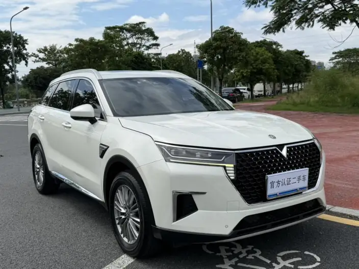 Qichen Star 2022 Model 260T 48V Mild Hybrid Boost Starlight Celebration Edition