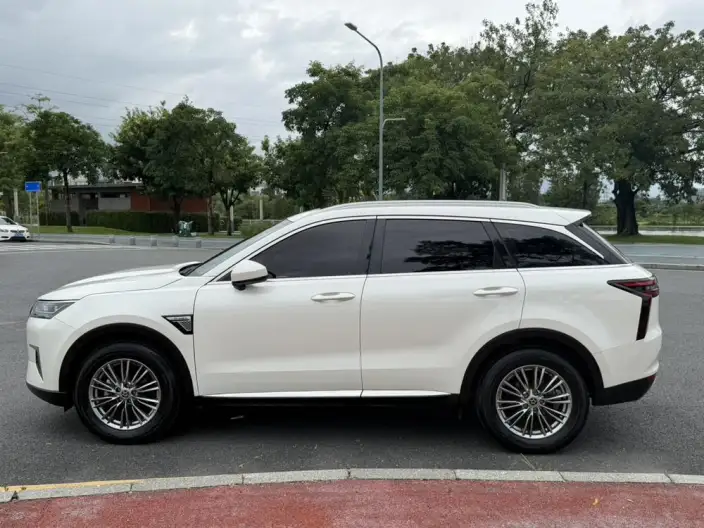 Qichen Star 2022 Model 260T 48V Mild Hybrid Boost Starlight Celebration Edition