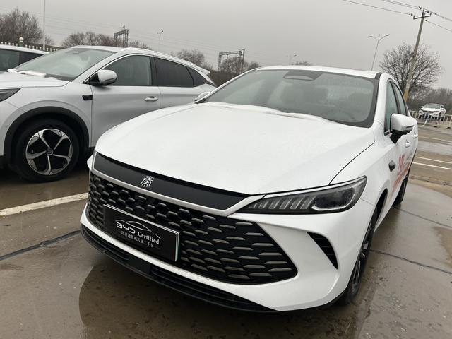 BYD Qin PLUS DM 2025 Model S mart Driving Edition DM-i 120KM Transcendent – фото 1
