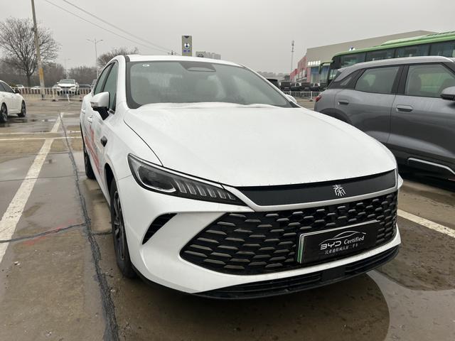 BYD Qin PLUS DM 2025 Model S mart Driving Edition DM-i 120KM Transcendent – фото 2