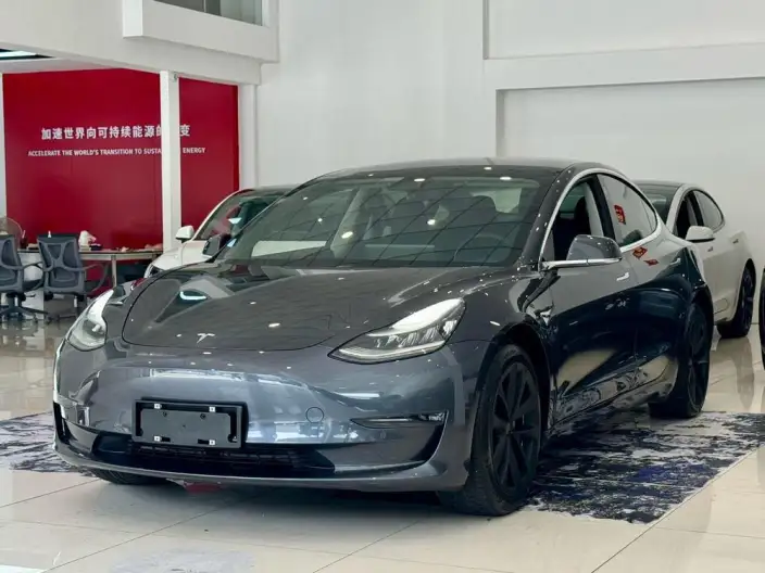 Model 3 2020 Model Facelift Long Battery Life Pro Rear-wheel drive version