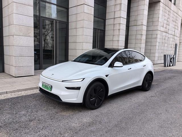Tesla Model Y 2025 Long Range AWD – фото 1
