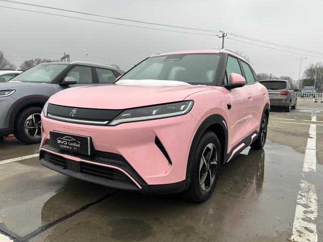 Yuan UP 2025 Model S mart Driving Edition 401KM Transcendent – фото 1