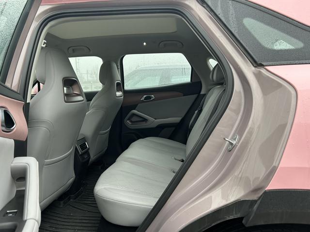 Yuan UP 2025 Model S mart Driving Edition 401KM Transcendent – фото 6