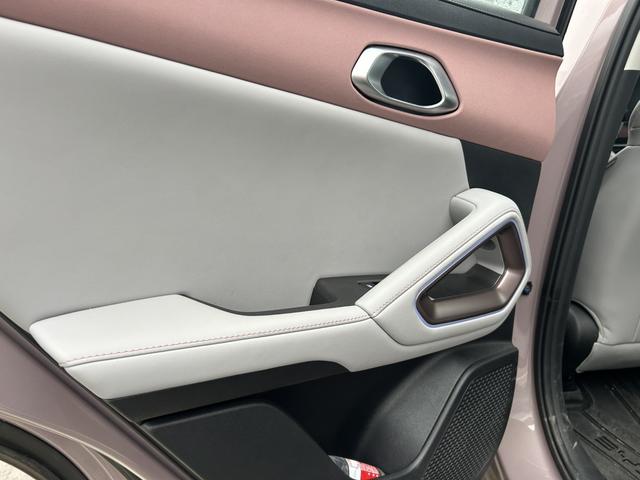 Yuan UP 2025 Model S mart Driving Edition 401KM Transcendent – фото 9