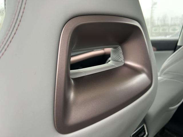 Yuan UP 2025 Model S mart Driving Edition 401KM Transcendent – фото 10