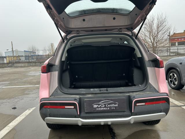 Yuan UP 2025 Model S mart Driving Edition 401KM Transcendent – фото 11