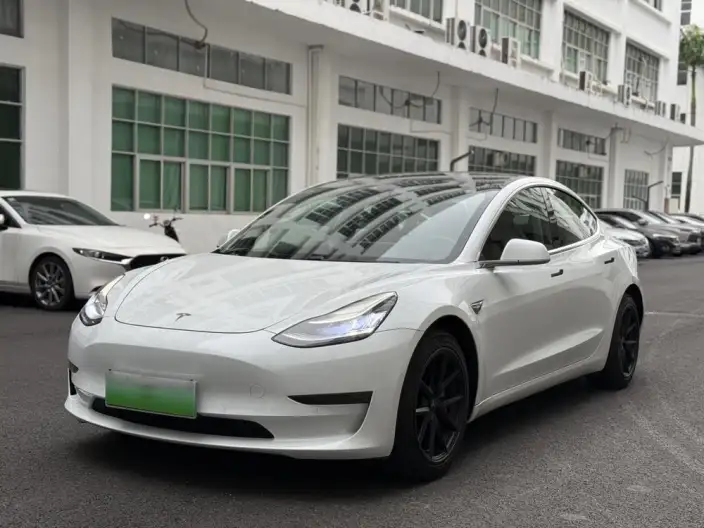 Model 3 2020 Model Facelift Long Battery Life Pro Rear-wheel drive version
