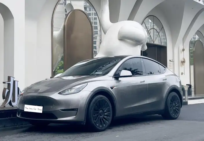 Model Y 2021 Model Standard Battery Life Rear-wheel drive version