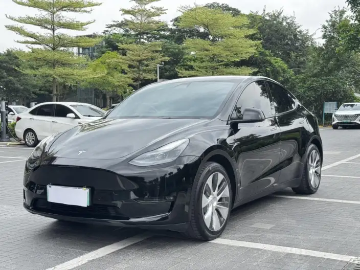 Model Y 2021 Model Standard Battery Life Rear-wheel drive version