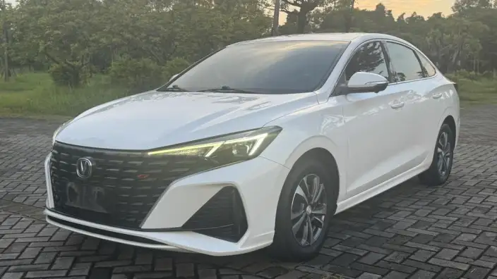 Changan Eado 2023 Model PLUS Changxiang Edition Blue whale NE 1.4T GDI DCT Noble Model