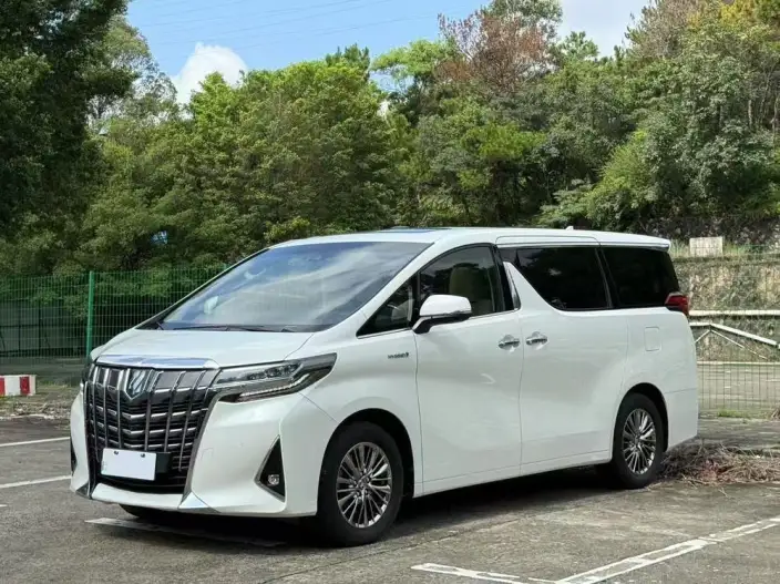 Elfa 2021 Model Hybrid 2.5L Deluxe Edition