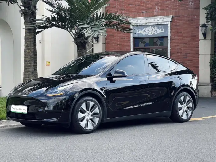 Model Y 2022 Model Rear-wheel drive version