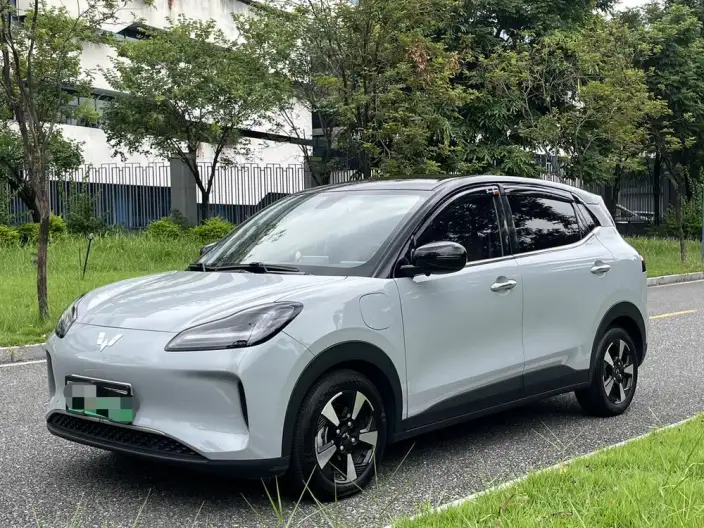 WULING Bingguo PLUS 2024 Model 510km Ultimate Edition