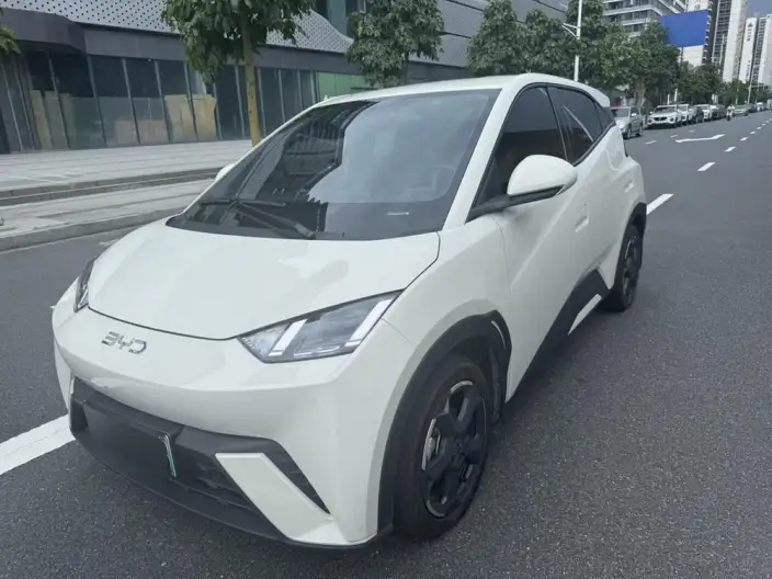 BYD Seagull 2024 Model Honor Edition 305KM Free Edition