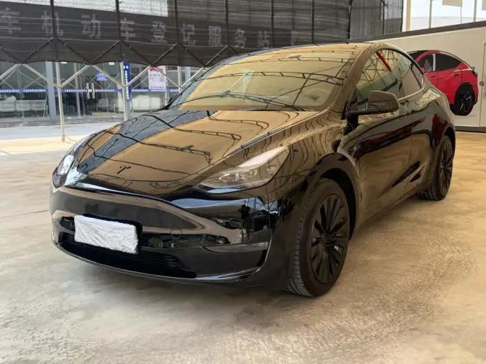 Model Y 2021 Model Standard Battery Life Rear-wheel drive version