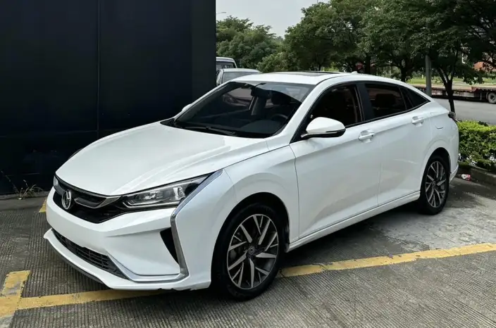 Yixuan 2020 Model 230T Automatic Dazzling version