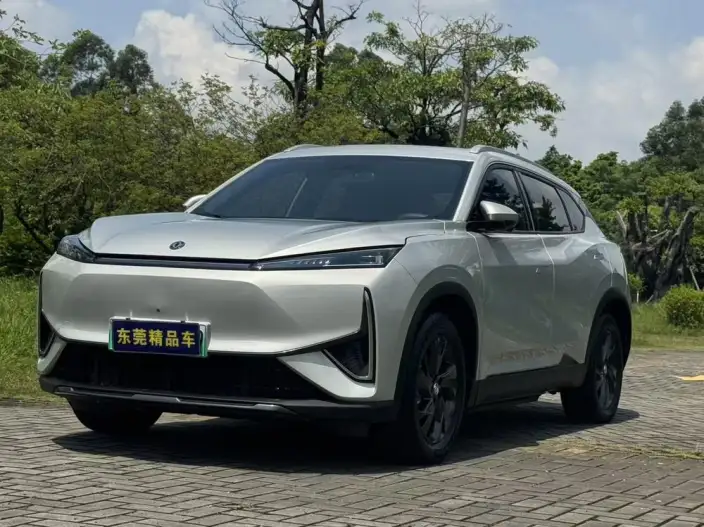 DFM L7 EV 2024 Model 518 Pro
