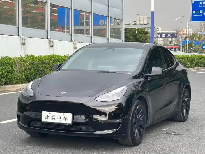Model Y 2021 Model Standard Battery Life Rear-wheel drive version