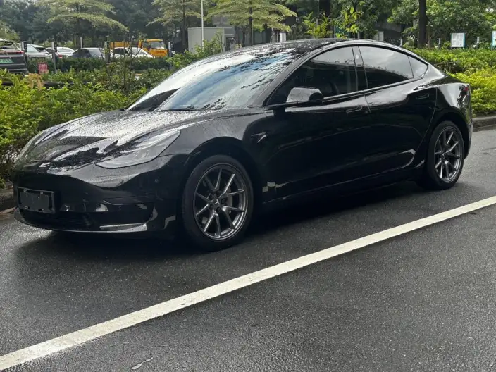 Model 3 2022 Model Rear-wheel drive version