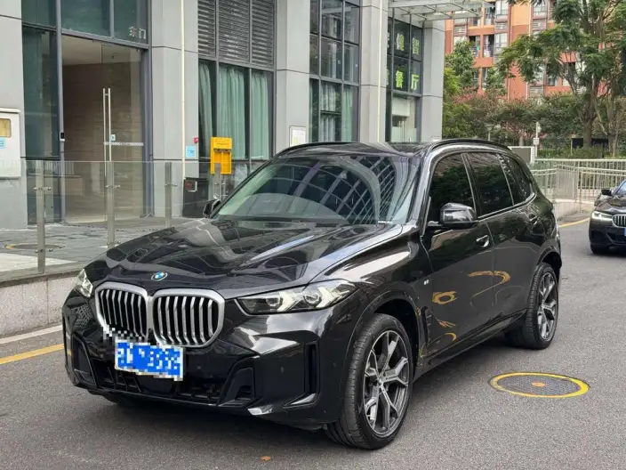 BMW X5 2023 Model xDrive30Li Exclusive Model M Sports Set