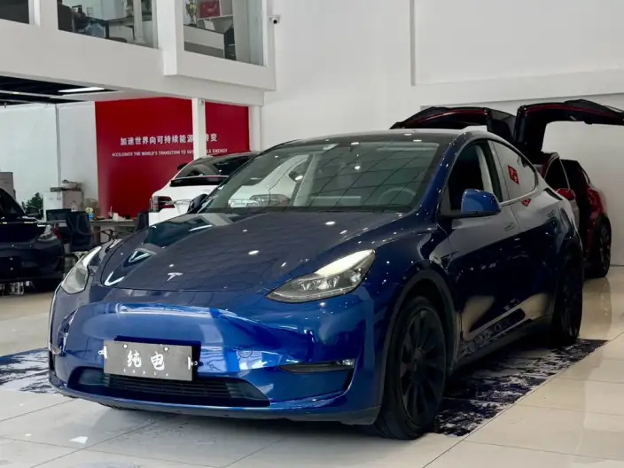 Model Y 2021 Model Long Battery Life Pro All-wheel drive version