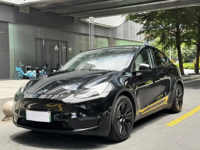 Model Y 2021 Model Standard Battery Life Rear-wheel drive version