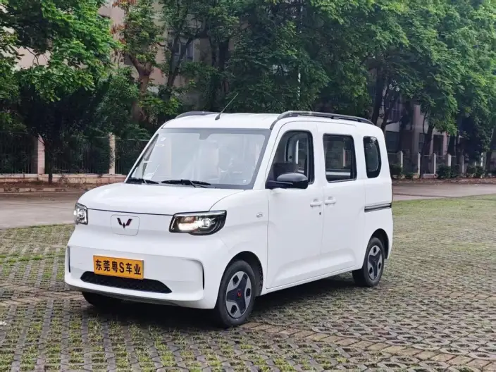 WULING Sunshine EV 2025 Model Enterprising Model