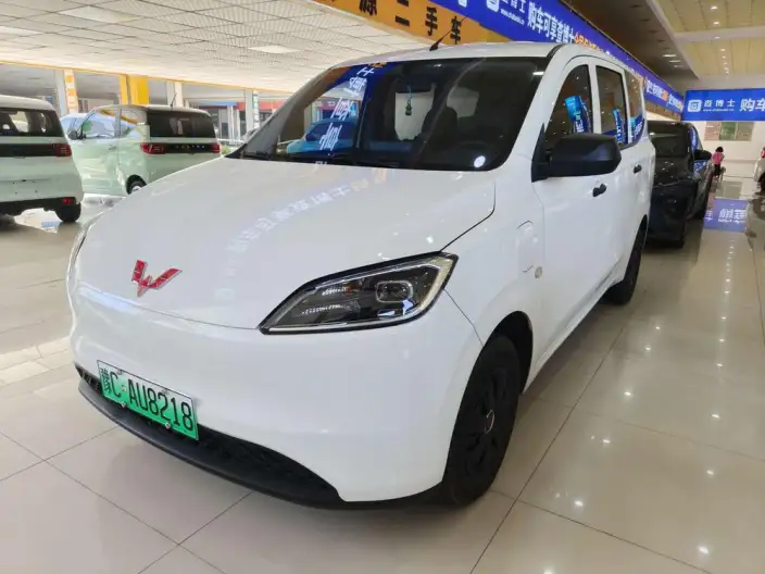 Wuling Hongguang EV Edition 2024 Model 300KM Standard Model