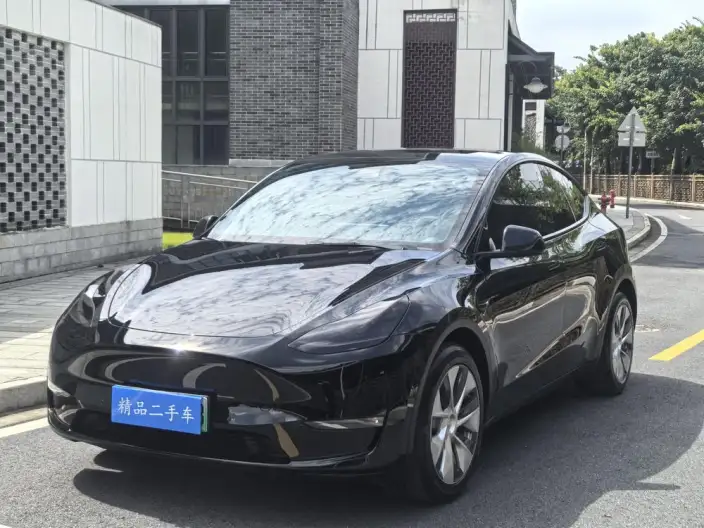 Model Y 2021 Model Long Battery Life Pro All-wheel drive version