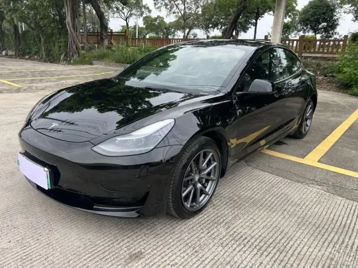 Model 3 2021 Model Standard Battery Life Rear Drive L Class Edition 3D6
