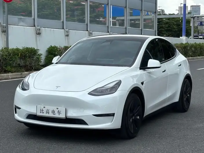 Model Y 2021 Model Standard Battery Life Rear-wheel drive version