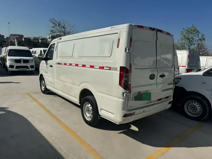 GEo Shuailing 2022 Model Standard Model Standard Battery Life