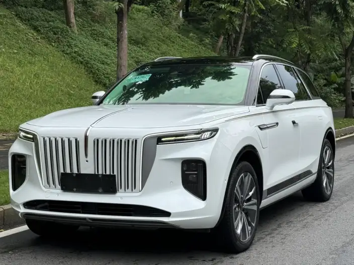 HONGQI E-HS9 2020 Model 510km Flag Enjoy Edition VI seat