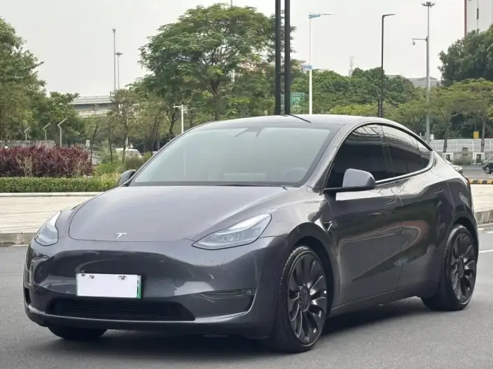 Model Y 2022 Model Performance High performance All-wheel drive version