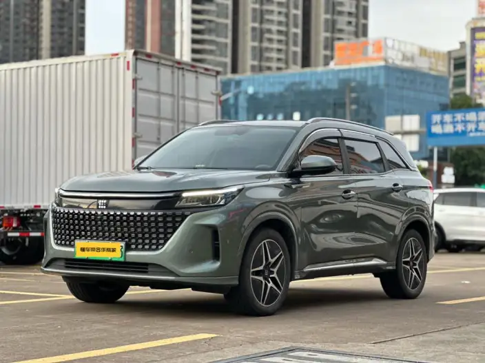 Blue Electric E5 2024 Model Honor Edition 100km Zhen Xiang Model