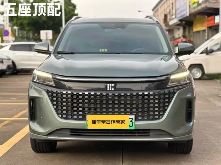 Blue Electric E5 2024 Model Honor Edition 100km Zhen Xiang Model