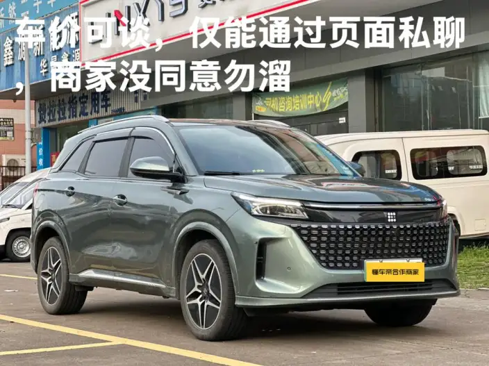 Blue Electric E5 2024 Model Honor Edition 100km Zhen Xiang Model