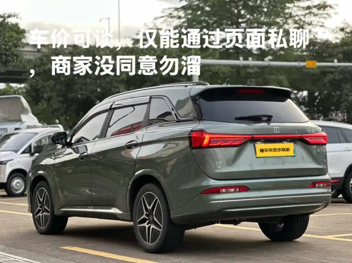 Blue Electric E5 2024 Model Honor Edition 100km Zhen Xiang Model