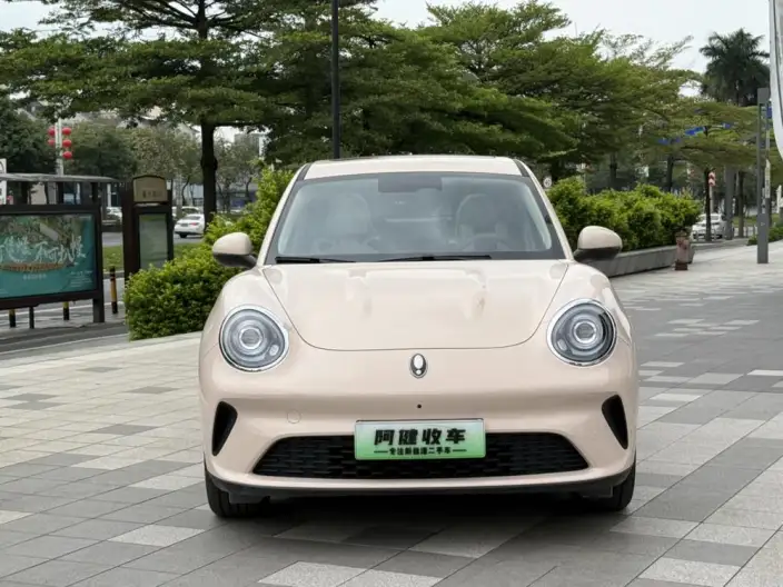 ORA Good Cat 2025 Model 430km Luxury Model