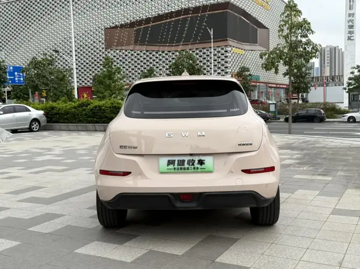 ORA Good Cat 2025 Model 430km Luxury Model