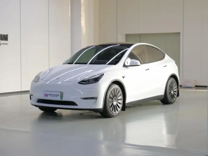 Model Y 2021 Model Standard Battery Life Rear-wheel drive version