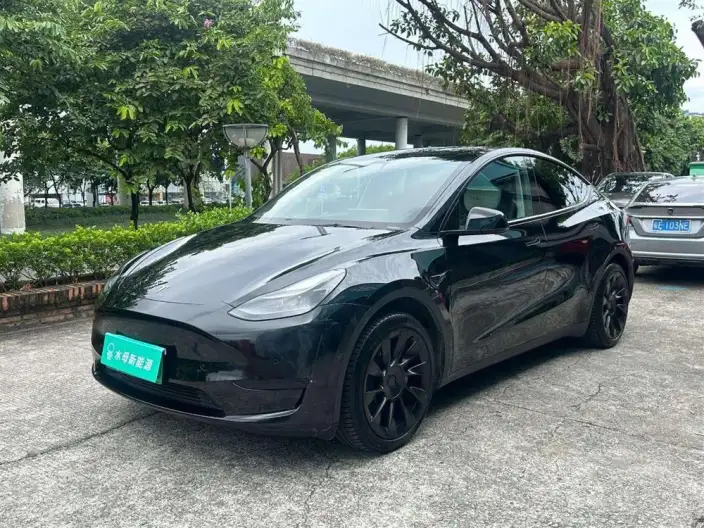 Model Y 2022 Model Rear-wheel drive version