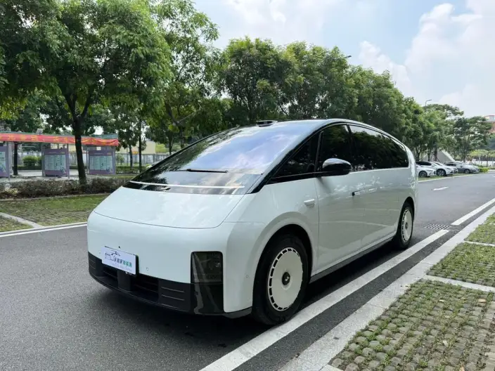 Li Auto MEGA 2025 Model Home Family Special Edition